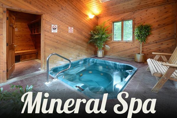 Turf And Spa Motel Saratoga Springs Ngoại thất bức ảnh